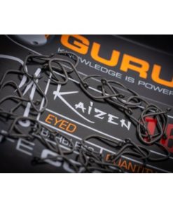 HAMECON KAIZEN EYED GURU