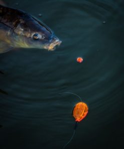 BULLE D’EAU SURFACE BOMBS  XL KORUM