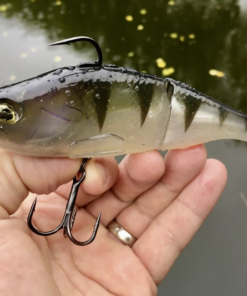 LEURRE FREAK OF NATURE SWIMBAIT QUANTUM