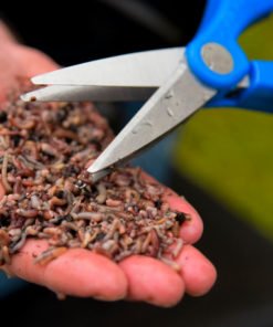 CISEAU A VERS DOUBLE LAME DOUBLE BLADE WORMCHOPPER CRESTA