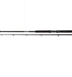 CANNE CAT BUSTER BLACK CAT