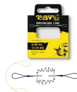 BREAKING LINE BLACK CAT